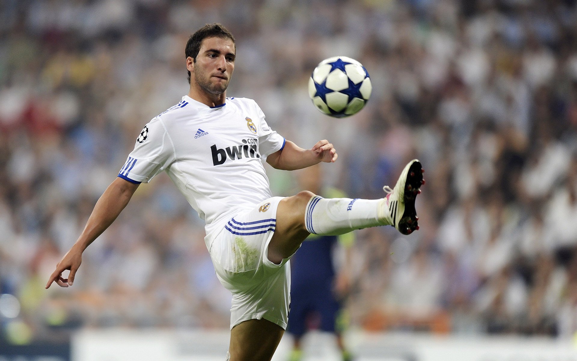 开云体育链接-“萨尔·巴赫：南非羚羊队的新希望，老队员的强大支持”